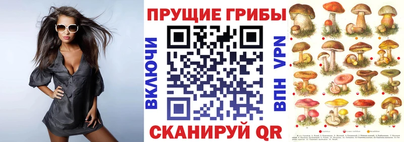 Галлюциногенные грибы Psilocybe  Дальнегорск 